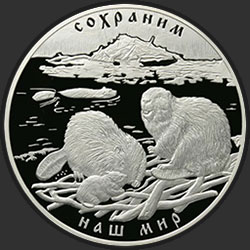 реверс 100 rublos 2008 "Речной бобр"