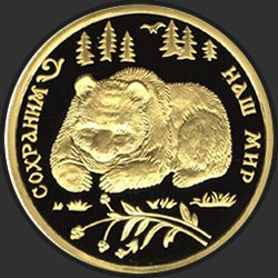 реверс 100 rublos 1993 "Бурый медведь"