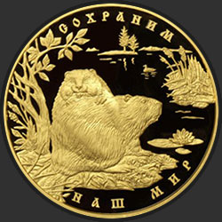 реверс 10000 рублів 2008 "Речной бобр"
