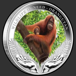 реверс 1$ (buck) 2011 "Орангутаны"