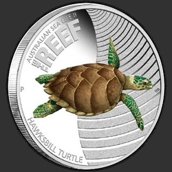 реверс 50¢ (халф) 2011 "Морская черепаха"