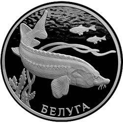 реверс 2 рубля 2019 "Белуга"