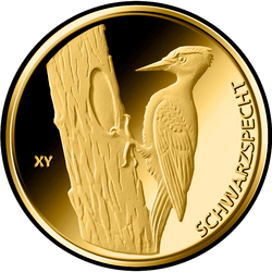 реверс 20€ 2021 "Black woodpecker"