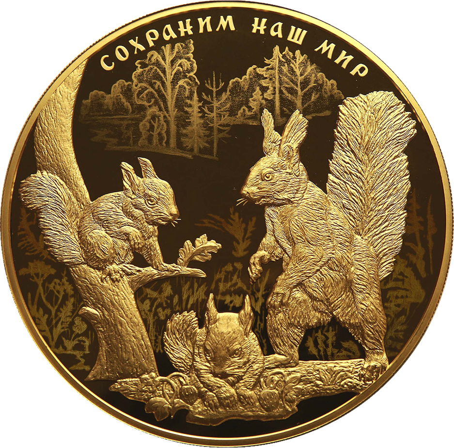 реверс 10000 rubli 2023 "Scoiattolo comune"