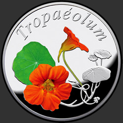 реверс 10 рублей 2013 "Настурция"