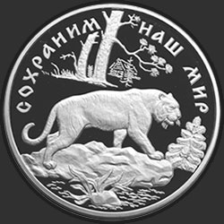 реверс 100 rubļu 1996 "Амурский тигр"