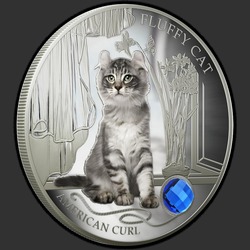 реверс 2 dollars 2013 "Кошка Американский Керл"