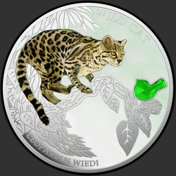 реверс 2 $ 2013 "Кошка Длиннохвостая  американская леопардовая"