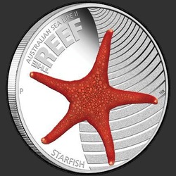 реверс 50¢ (халф) 2011 "Морская звезда"