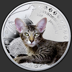 реверс 1$ (бак) 2014 "Яванская кошка"