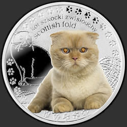 реверс 1$ (бак) 2014 "Шотландская кошка"