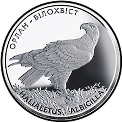 реверс 10 гривен 2019 "Орлан-белохвост"